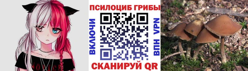 Галлюциногенные грибы MAGIC MUSHROOMS  mega зеркало  Дигора 